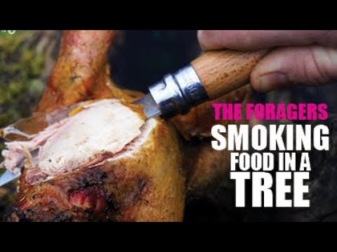 Smoking Food in a Hollow Tree