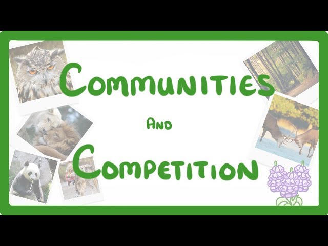 GCSE Biology - Interdependence - Community and Competition  #84