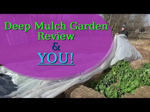 Weed Free Garden Review and You