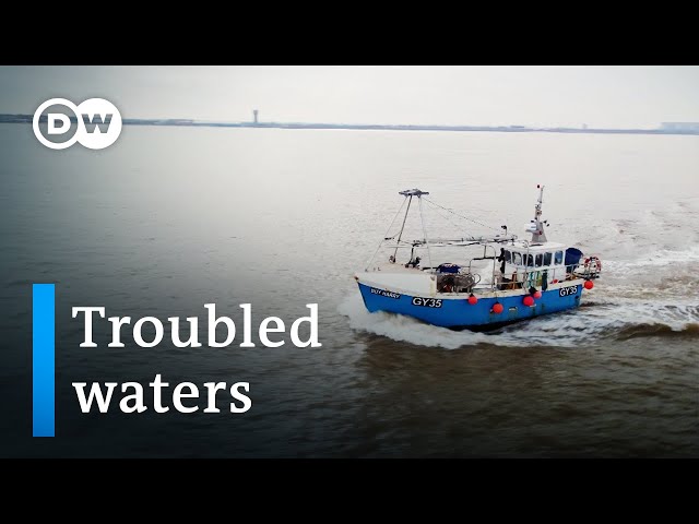 Brexit and British fishermen | DW Documentary