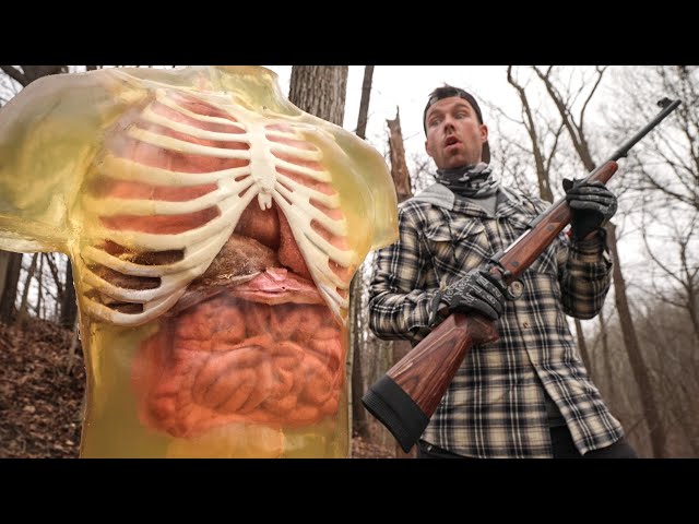 Elephant Gun vs Human Torso