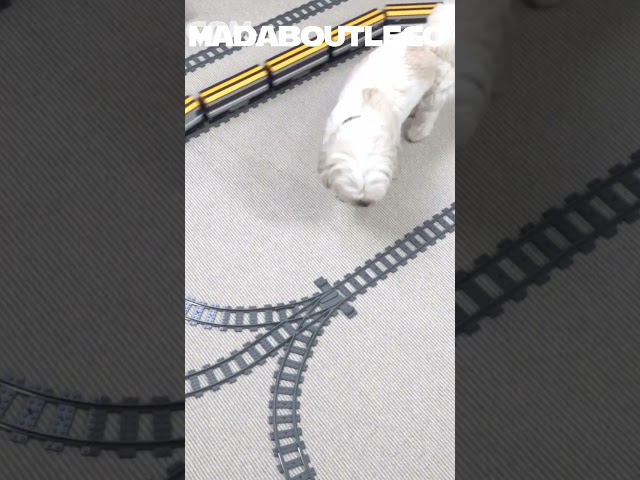 Lego Train Crashes.