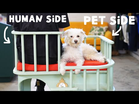 I built a chair for dogs that always want to sit next to you