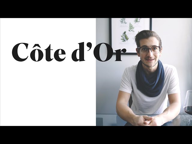 Burgundy's CÔTE D'OR — CÔTE DE NUITS & CÔTE DE BEAUNE • Overview & Pronunciations