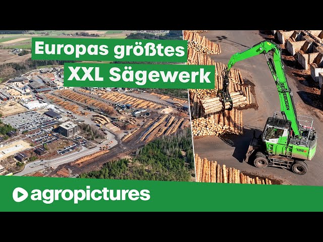 Größtes Sägewerk Europas – Ziegler Group | SENNEBOGEN 735E Pick & Carry Umschlagbagger | Holz Doku