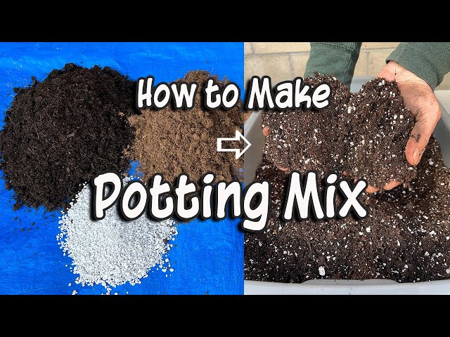 How to Make Your Own Potting Mix and Save Money | Easy DIY