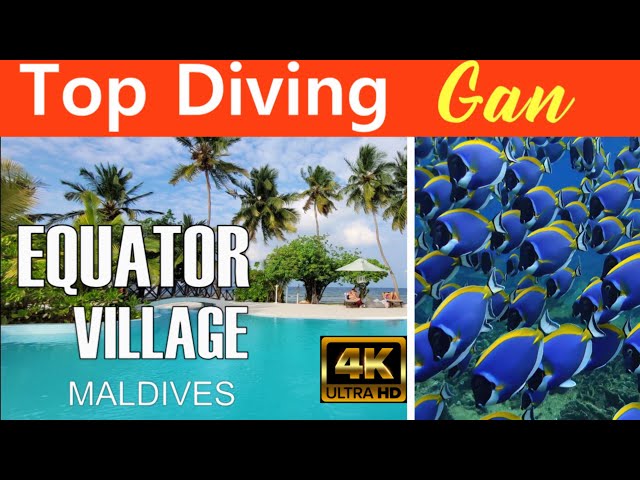 TOP DIVING - Malediven - Equator Village (Diverland Gan) - Addu Atoll