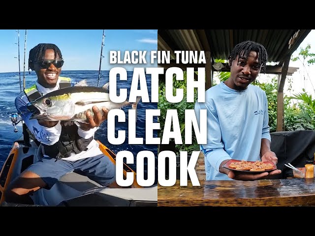 Catch, Clean, Cook - Blackfin Tuna SUSHI Crisps!