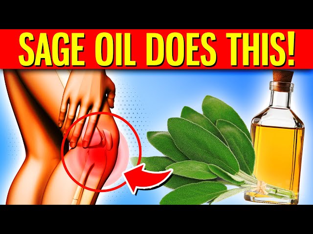 10 POWERFUL Health Benefits Of Sage Oil You Must Know About