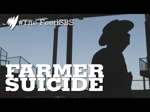 Farmer Suicide In Queensland I The Feed