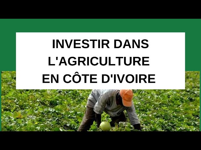 INVESTIR DANS LE BUSINESS DE L'AGRICULTURE EN CÔTE D'IVOIRE