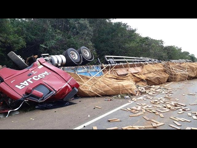 Dangerous Fastest Idiots Logging Wood Truck Operator, Excavator | Heavy Equipment Truck Skill Fails.