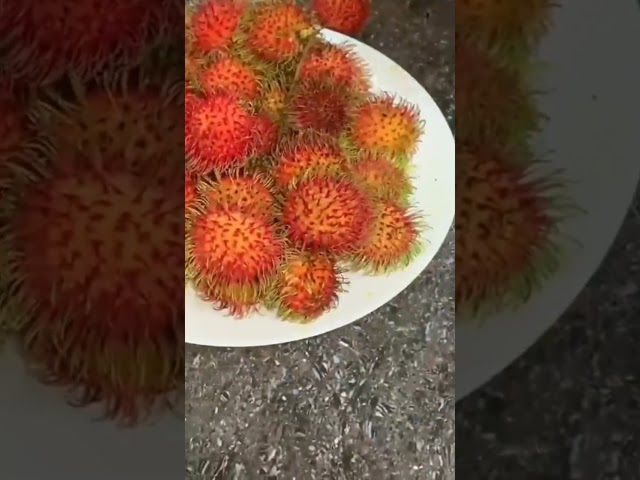 Rambutan Fruits Harvesting in Terrace Garden #shorts #video