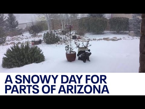 Arizona weather