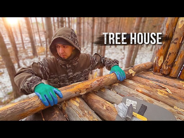 Crazy Russian is building a treehouse. Making boards from logs. Part 2.