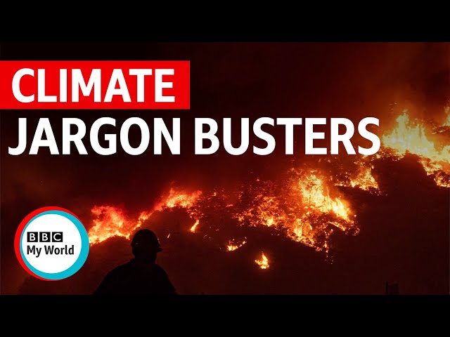 Confused about these climate change terms? - BBC My World #shorts