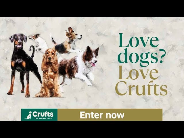 Entries for Crufts 2024 are open NOW!