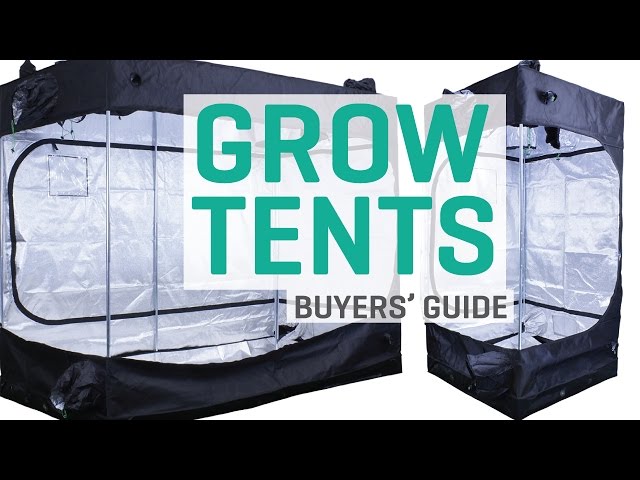 Grow Tents - Buyers' Guide