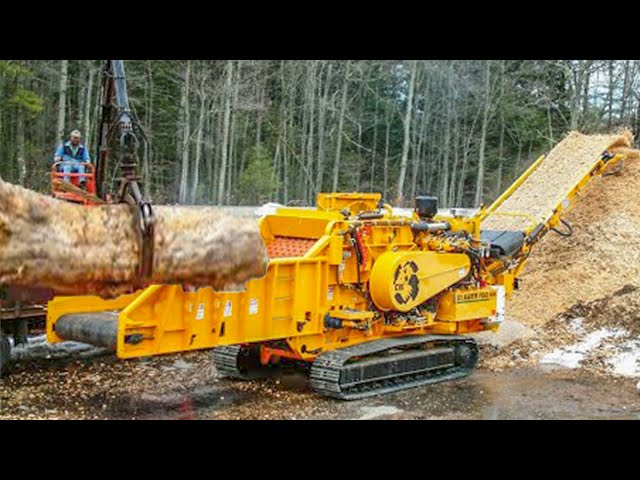 Dangerous Powerful Whole Tree Chipping Machines, Fastest Tree Destroy Stump Grinding Equipment