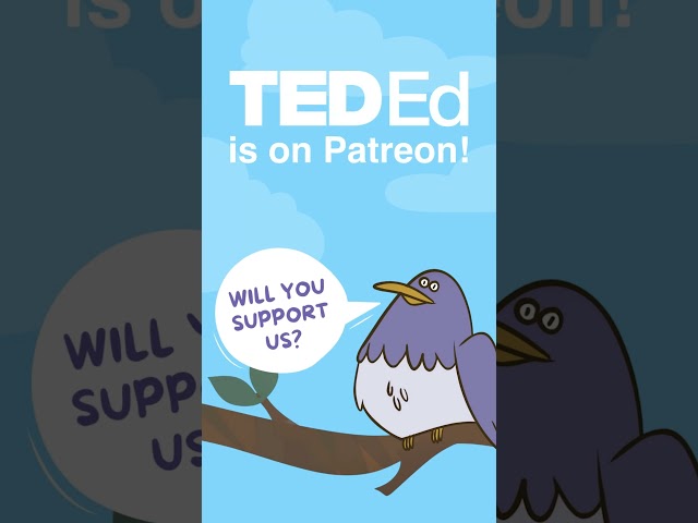 Become a patron of TED-Ed! #shorts