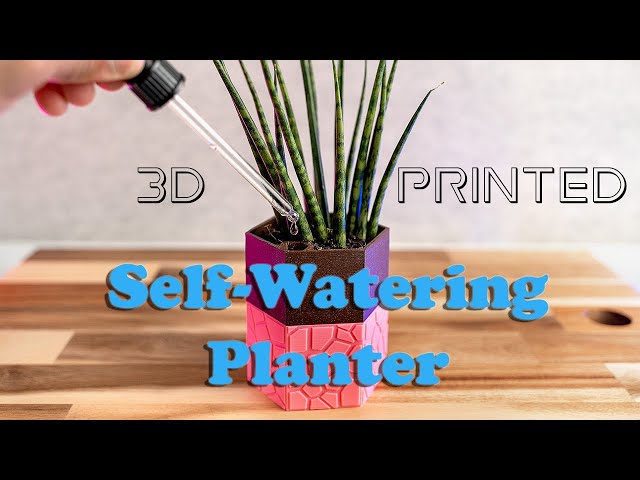 3D Printed COOL SELF-WATERING PLANTER || Ender 3  Pro
