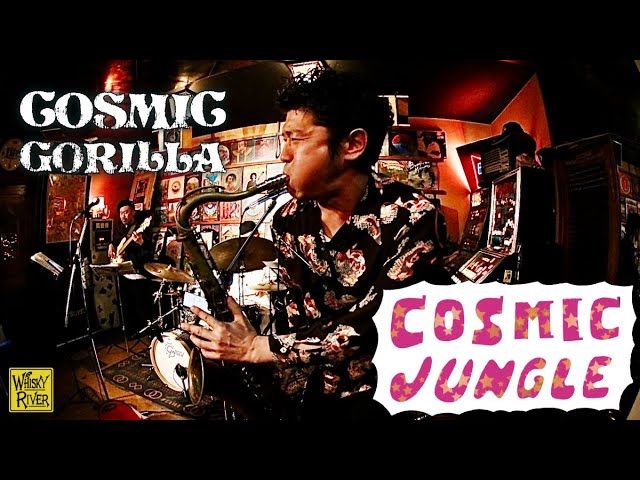 Cosmic Gorilla - COSMIC JUNGLE feat Victoria