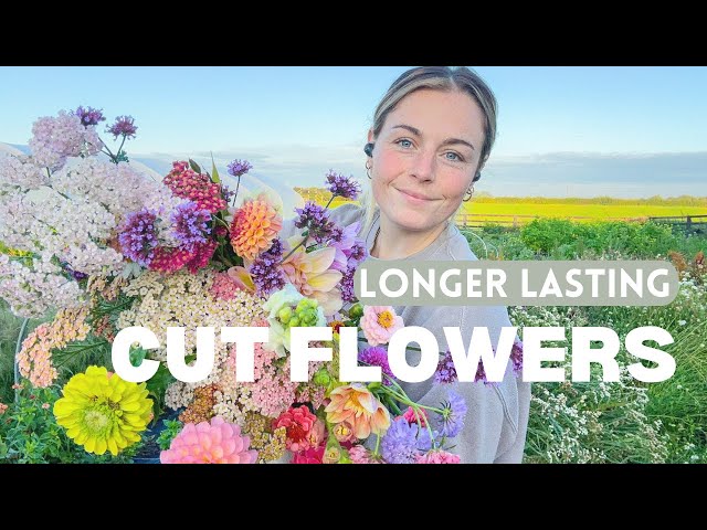 How to Cut and Condition Flowers for a Long Vase Life {Incl. Tips for Dahlias, Zinnias, Snapdragons)