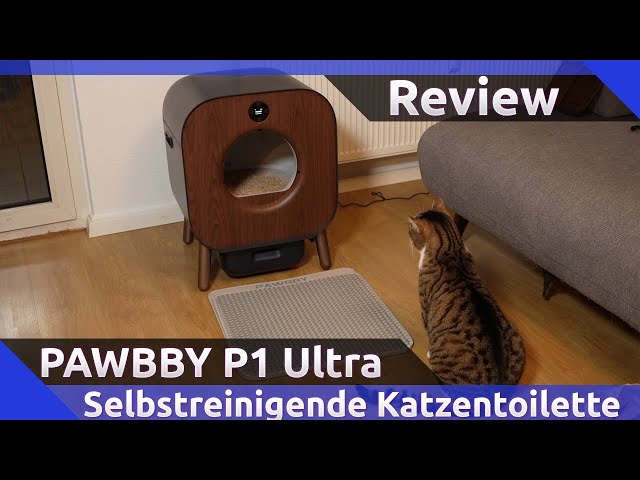 PAWBBY P1 Ultra Review (2023)