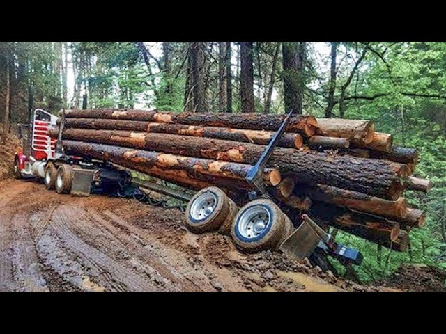 Extrem gefährliche, riesige Holzfäller-LKW-Fahrfähigkeiten Schwermaschinen-Bediener-LKW