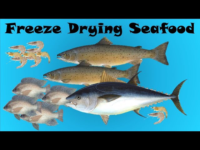 Freeze Drying Seafood with Recipes