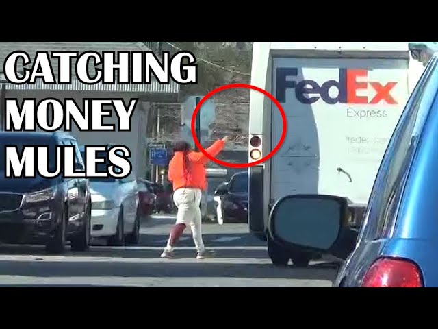 Catching Money Mules ft. Mark Rober