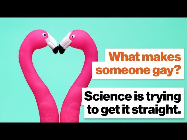 What makes someone gay? Science is trying to get it straight. | Alice Dreger | Big Think