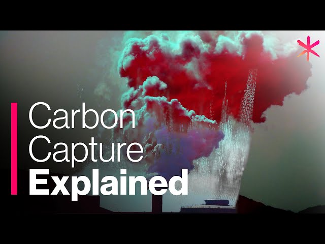 Carbon Capture Technology Explained | Seachange