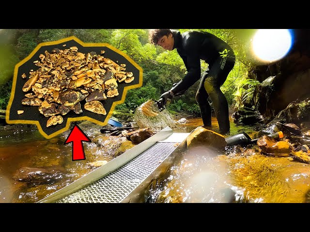 Finding $1000 Worth of Gold Every Day