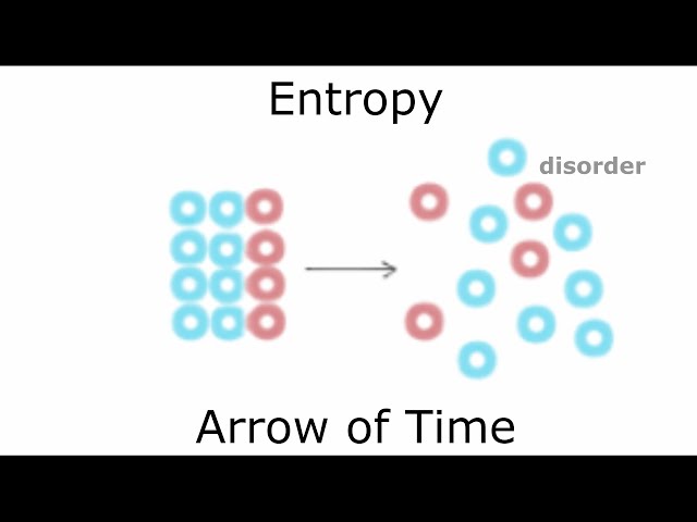 What you think you know about entropy is wrong! From everyday life to Black Holes