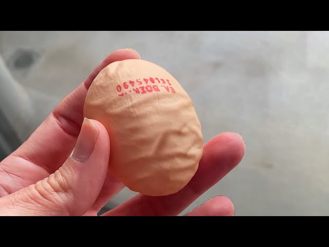 A Really Wrinkly Egg