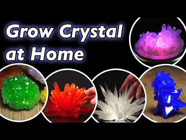How to Grow Crystals at Home (Compilation)
