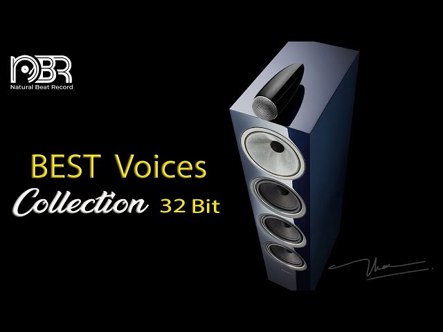 Hi End Sound Test - Best Voices 32 Bit Collection - Audiophile NBR Music