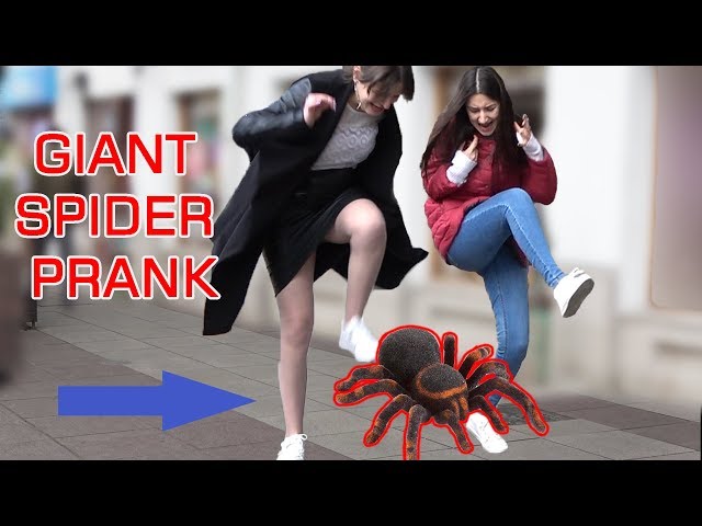 GIANT SPIDER SCARE PRANK - Crazy Spider Prank - AWESOME REACTIONS