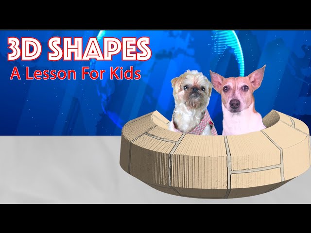 3D Shapes: A Lesson For Kids