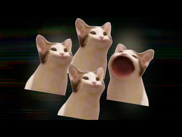 Cat Pop Bohemian Rhapsody
