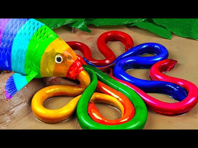 재미있는 스톱 모션 만화 LEGO FISH | 아기 상어, 무지개 아기 물고기 | Mukbang 바다 게, 메기