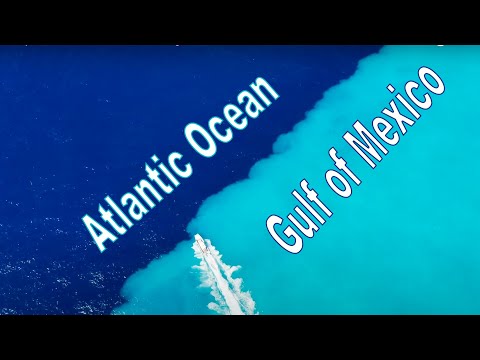 **Gulf of Mexico meets Atlantic Ocean** DIVIDED WATERS {Catch Clean CooK}