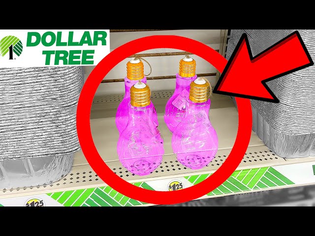 10 Things You SHOULD Be Buying at Dollar Tree in January 2023