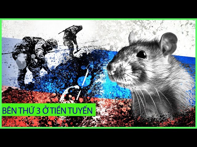 UNBOXING FILE | 4 lính sống chung với 1.000 con chuột & cuộc xâm lược của Jerry ở Ukraine