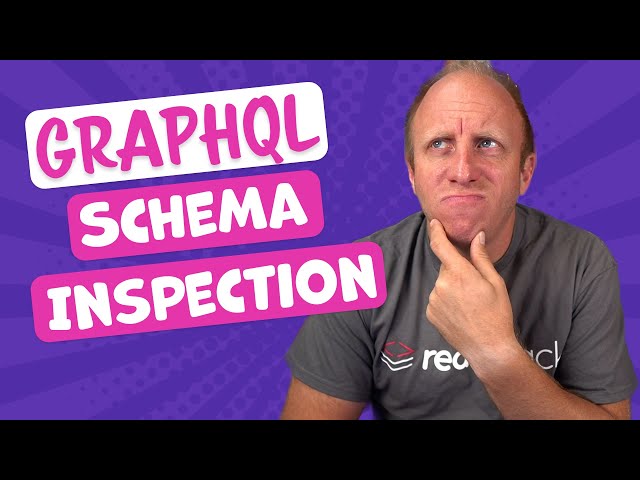Spring for GraphQL Schema Mapping Inspection