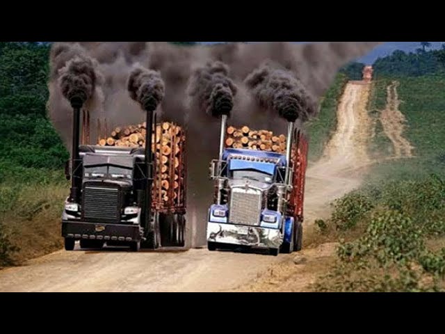 Dangerous Fastest Idiots Skill Logging Wood Truck, Excavator | Heavy Equipment Driving Truck Fails.