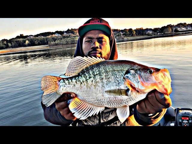 Best Advice For Winter Crappie Fishing 2019 *Crappie Fishing Secrets*