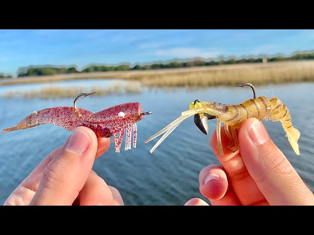 DOA Shrimp vs. Vudu Shrimp: Which Lure Catches More Redfish? (Day 1 Test)