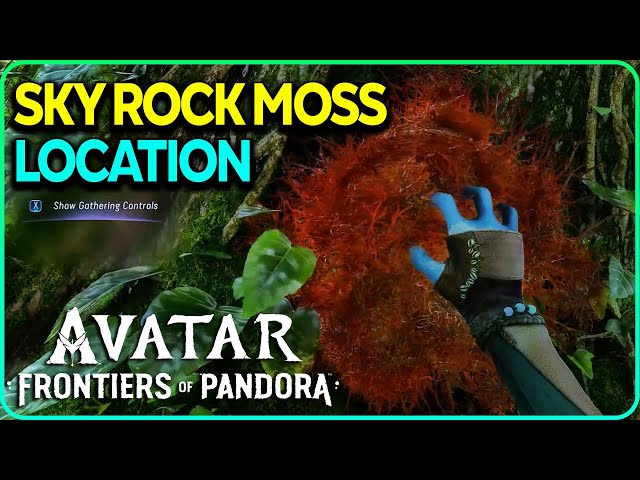 Sky Rock Moss Location Avatar Frontiers of Pandora